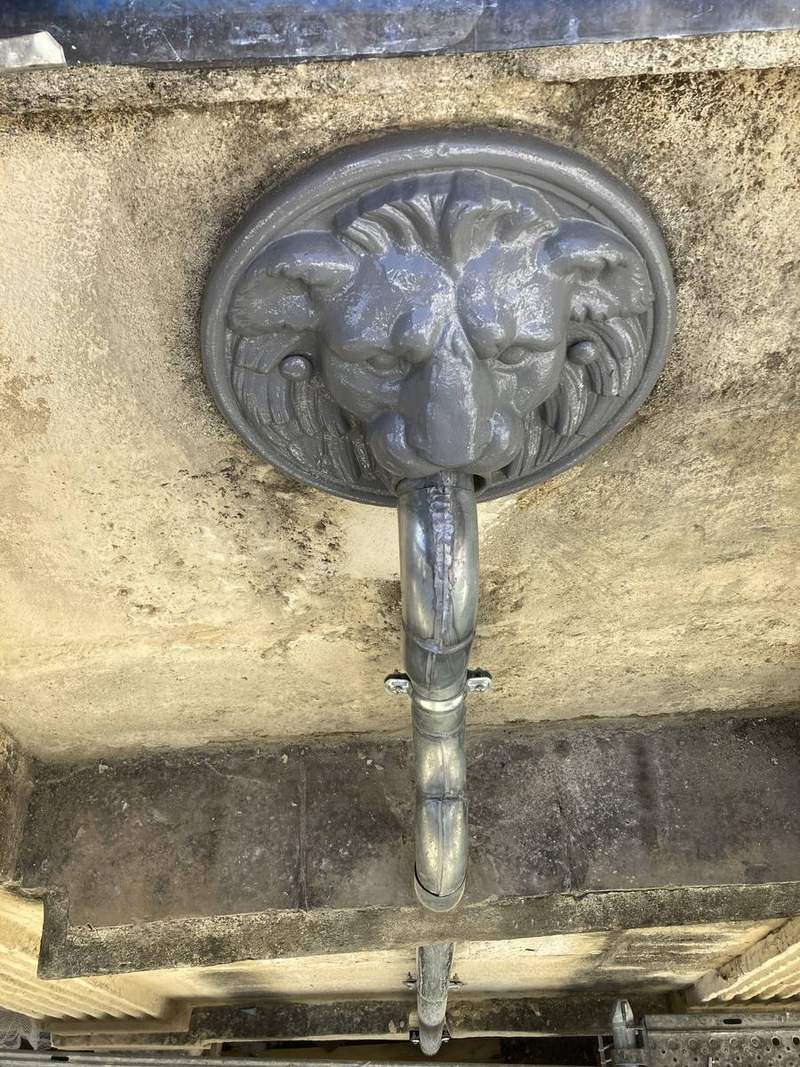 Gargouille en forme de tête de lion avec descente en zinc